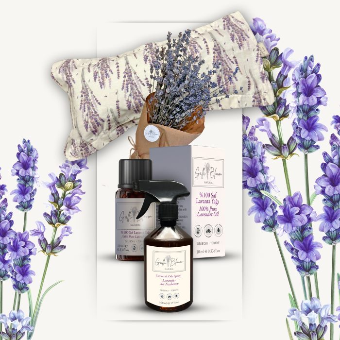 WELLNESS & SPA SETİ